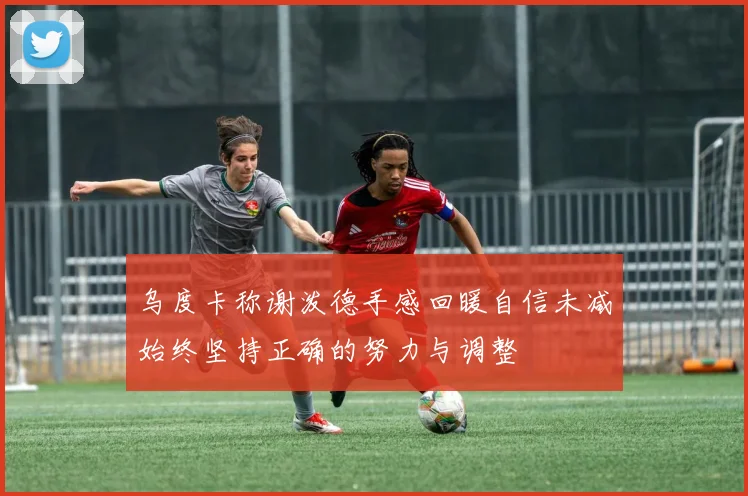乌度卡称谢泼德手感回暖自信未减始终坚持正确的努力与调整